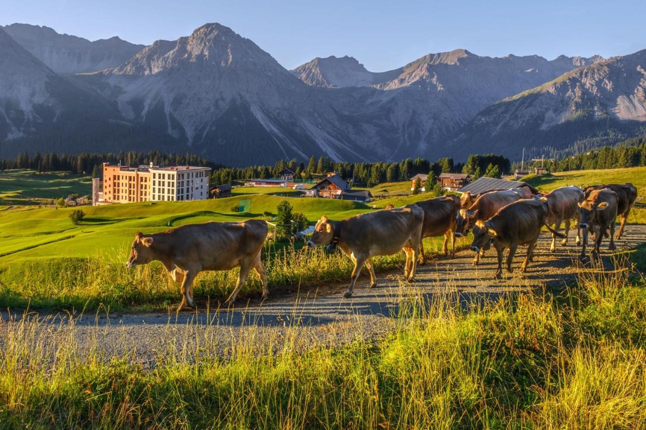 Hotel Golf- & Hof Maran